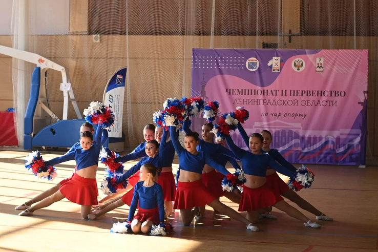 Чемпионат и первенство Ленинградской области по чир спорту